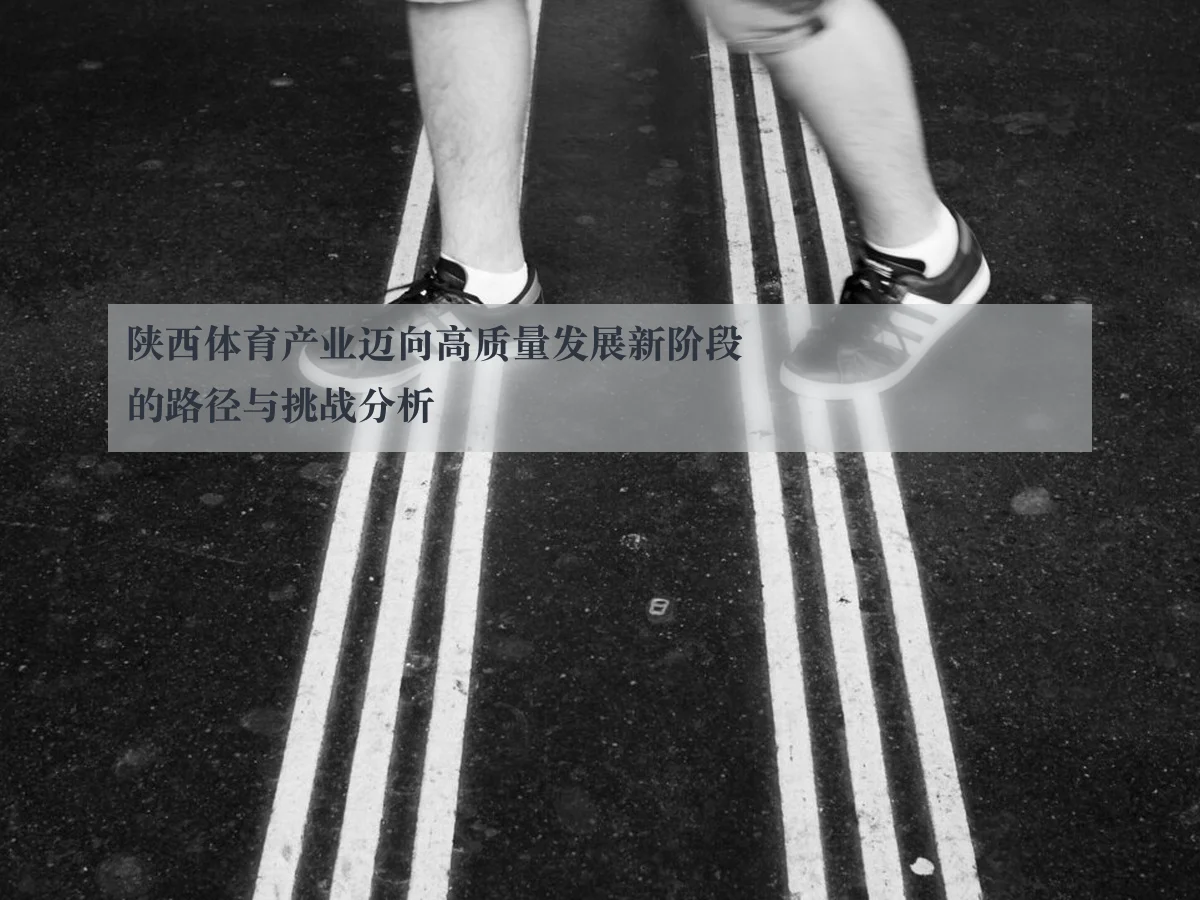 陕西体育产业迈向高质量发展新阶段的路径与挑战分析